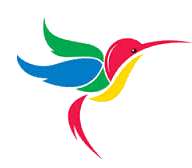 hummingbird algorithm update