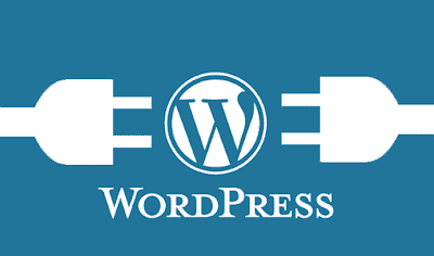 Production & Web Development | Team Member