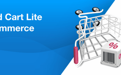 Critical Flaw in WOOCOMMERCE WordPress Plugin: Protecting your website