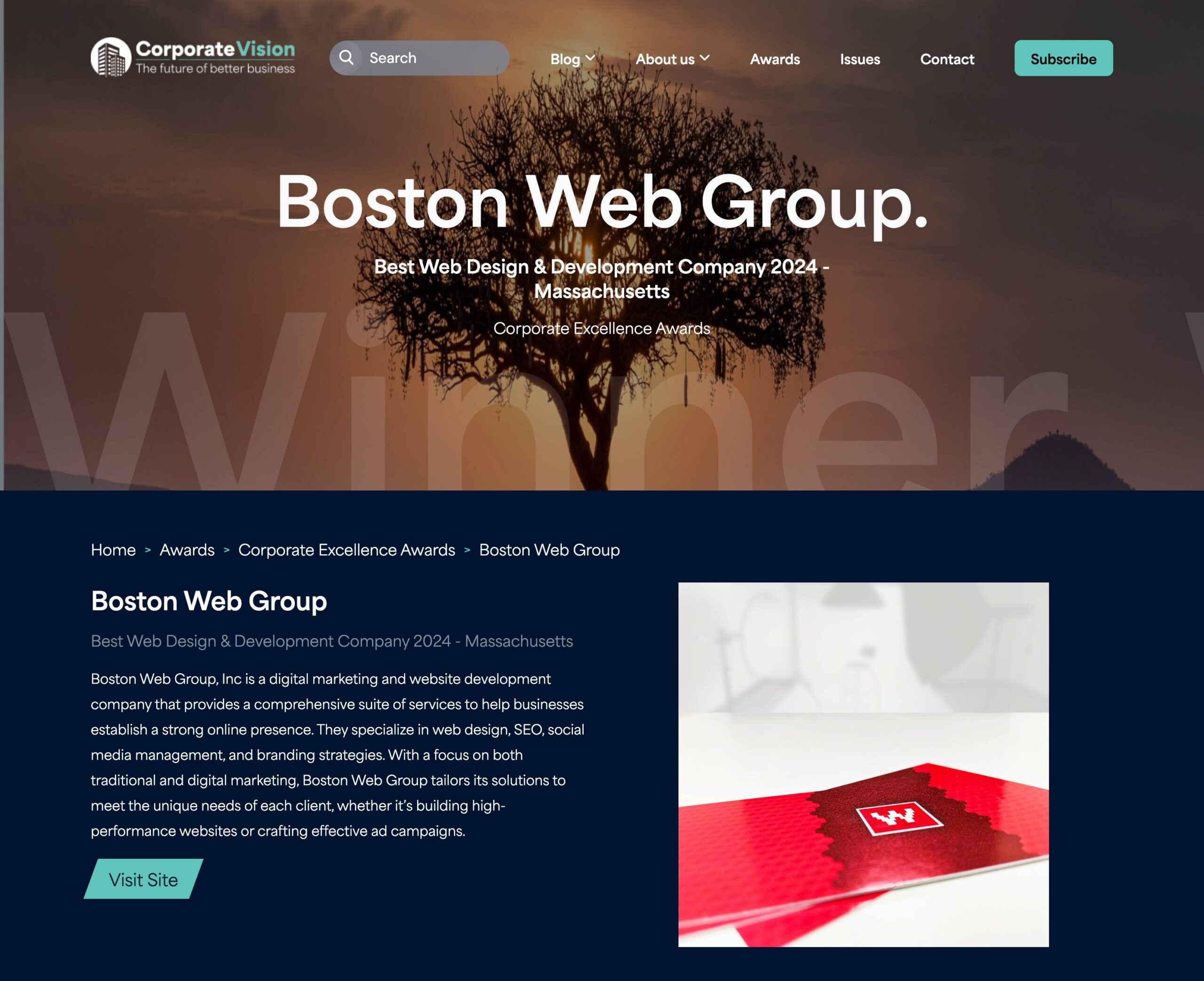 Boston Web Group - digital agency